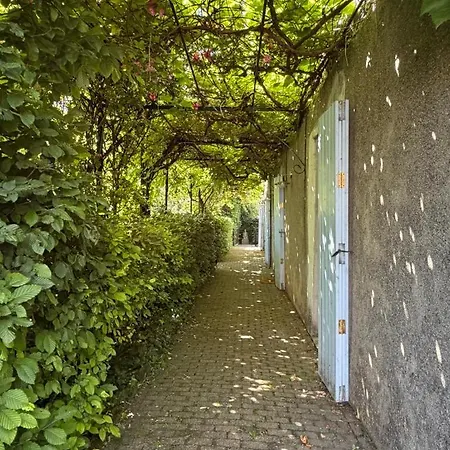Nyaraló Domaine Des Roses - Annabelle Tauves